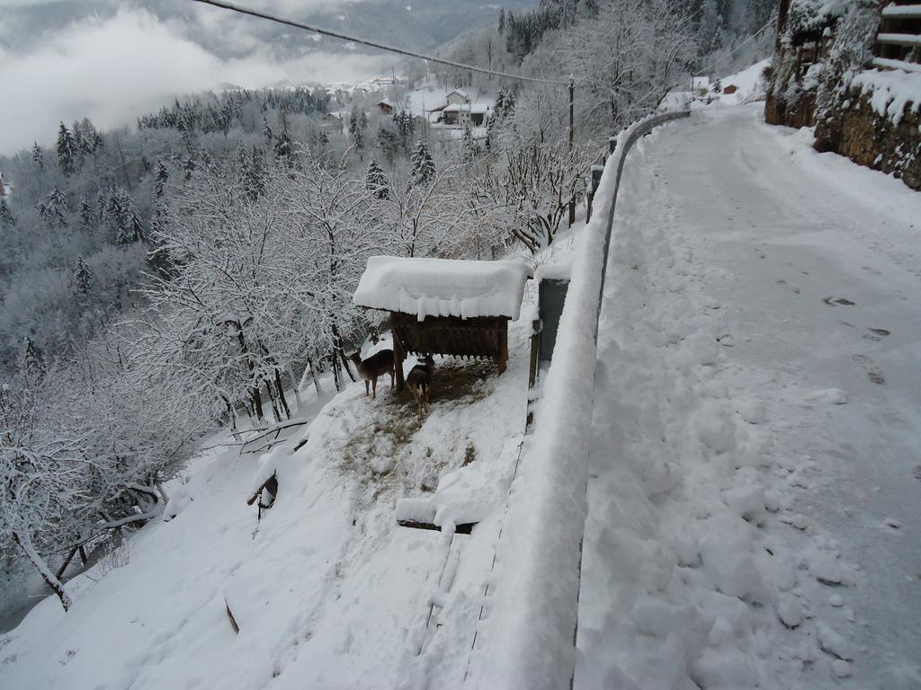 B&B Val Maschi Lamon ภายนอก รูปภาพ